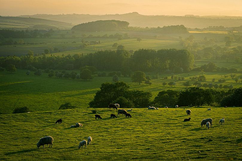 York countryside with grazing animals and rolling hills